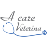 logo acare 2017